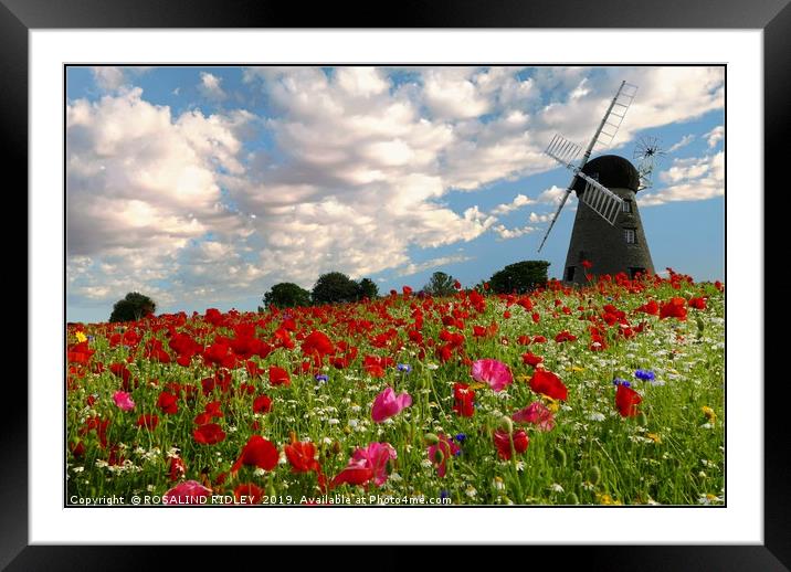 "Old Windmill in the poppy fields" Framed Mounted Print by ROS RIDLEY