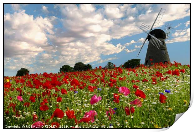 "Old Windmill in the poppy fields" Print by ROS RIDLEY