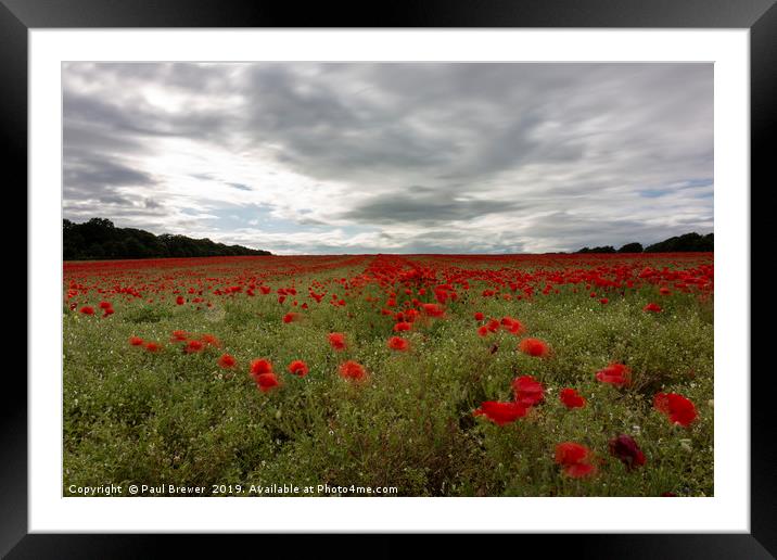 A sea of Red Poppies Framed Mounted Print by Paul Brewer