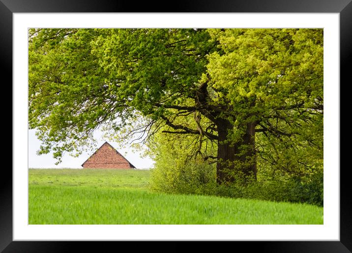 In The Countryside  Framed Mounted Print by Mike C.S.