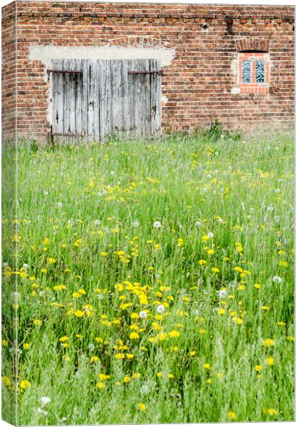 Abandoned Barn   Canvas Print by Mike C.S.