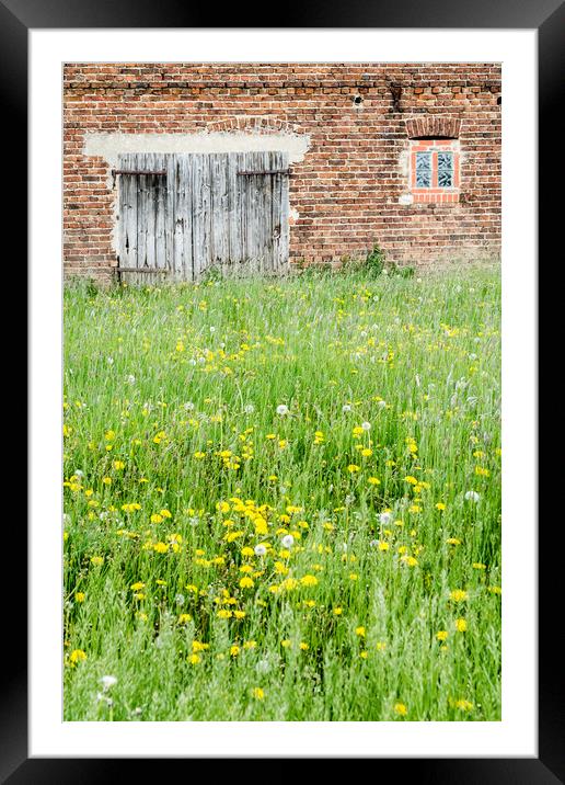 Abandoned Barn   Framed Mounted Print by Mike C.S.