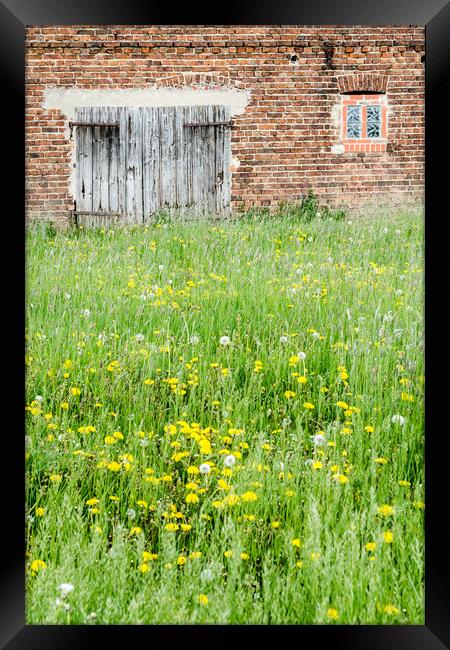 Abandoned Barn   Framed Print by Mike C.S.