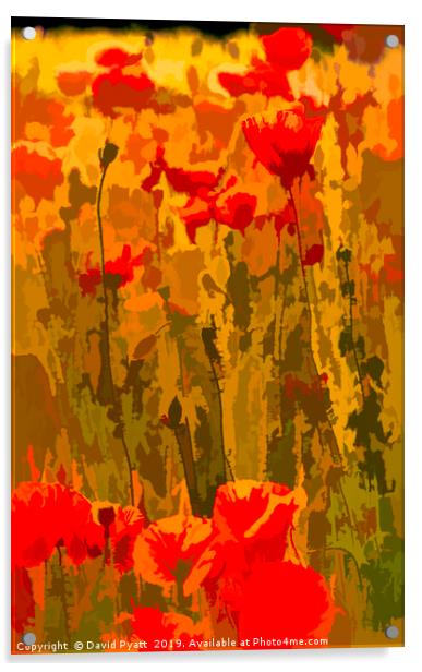 Poppy WW1 Art Tribute Acrylic by David Pyatt