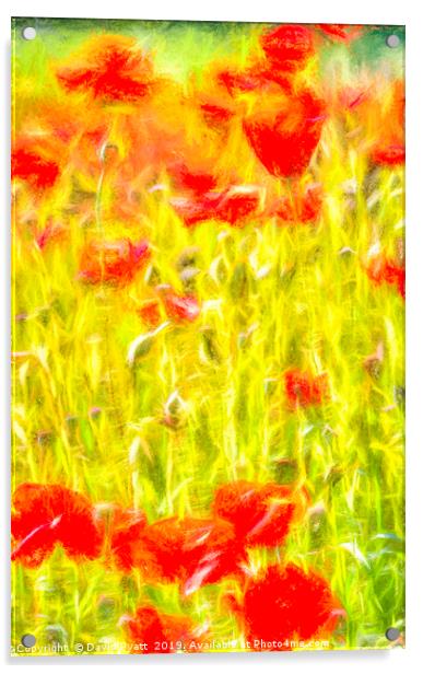 Poppy Meadow Dreams Acrylic by David Pyatt