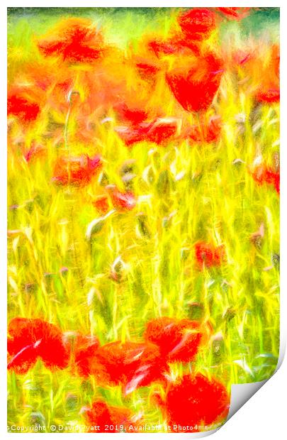 Poppy Meadow Dreams Print by David Pyatt
