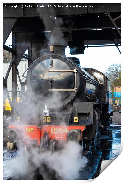 Thompson Class B1 No. 1264 Steam Engine. Print by Richard Pinder