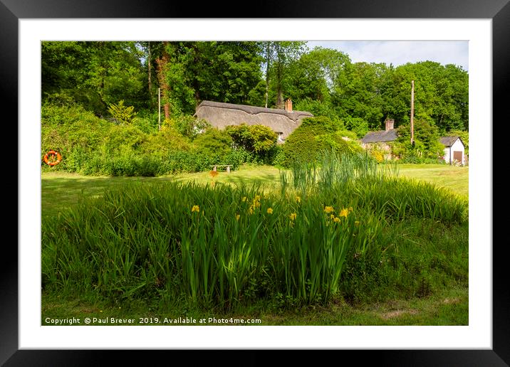 Village Pond Framed Mounted Print by Paul Brewer