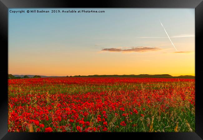 Summer Solstice Sunset over a Poppy Field Framed Print by Will Badman