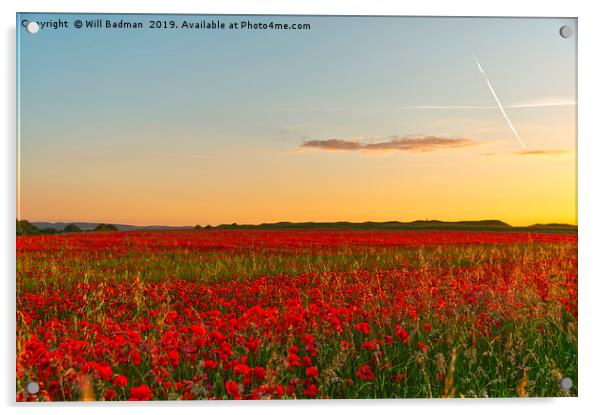 Summer Solstice Sunset over a Poppy Field Acrylic by Will Badman