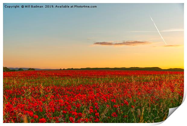 Summer Solstice Sunset over a Poppy Field Print by Will Badman
