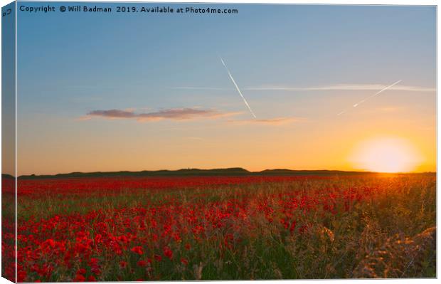Summer Solstice Sunset over a Poppy Field Canvas Print by Will Badman