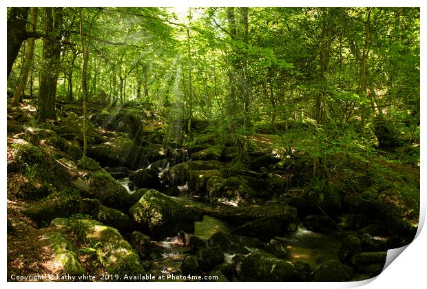 Kennall Vale nature reserve Print by kathy white