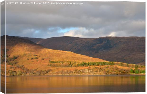 An Autumn View Across Loch Linnhe Canvas Print by Linsey Williams