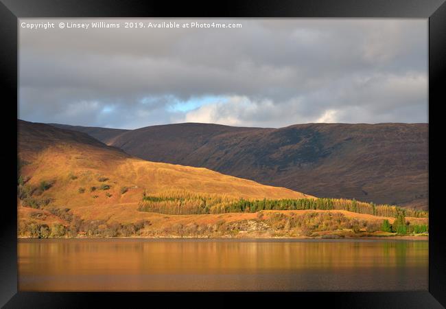 An Autumn View Across Loch Linnhe Framed Print by Linsey Williams