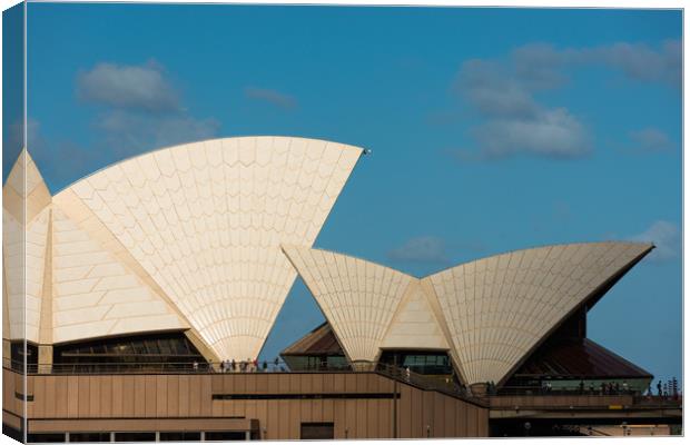 Sydney Opera house sails. Canvas Print by Andrew Michael