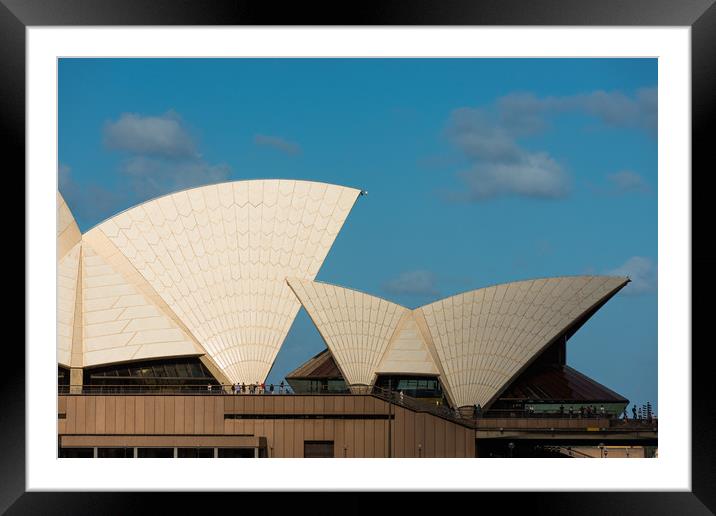 Sydney Opera house sails. Framed Mounted Print by Andrew Michael