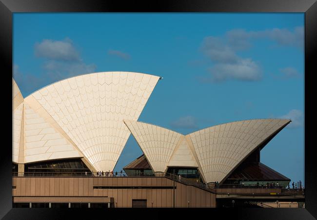 Sydney Opera house sails. Framed Print by Andrew Michael
