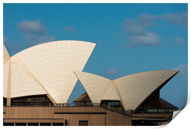 Sydney Opera house sails. Print by Andrew Michael