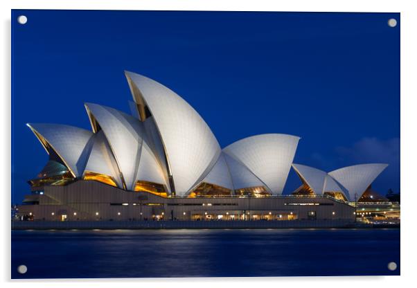 Sydney Opera House after dark. Acrylic by Andrew Michael