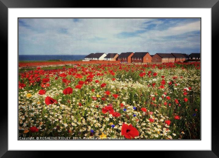 "Poppies at the seaside" Framed Mounted Print by ROS RIDLEY