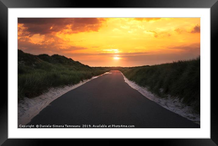 Road through dunes and grass at sunrise Framed Mounted Print by Daniela Simona Temneanu