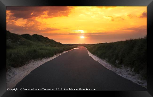Road through dunes and grass at sunrise Framed Print by Daniela Simona Temneanu