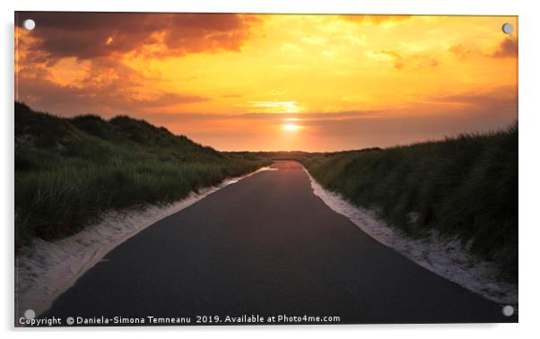 Road through dunes and grass at sunrise Acrylic by Daniela Simona Temneanu