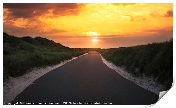 Road through dunes and grass at sunrise Print by Daniela Simona Temneanu