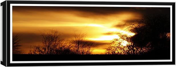 Radiant sunset Canvas Print by Craig Coleran