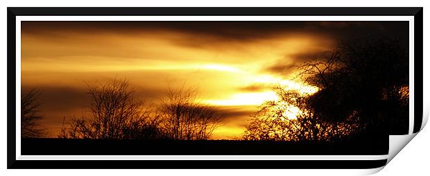 Radiant sunset Print by Craig Coleran