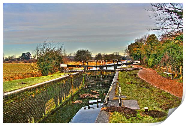 Lock on Yorkshire Canal, Yorkshire, UK Print by Dawn O'Connor