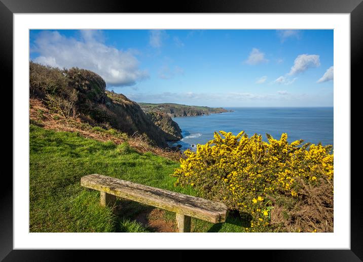 Bench on the combe Martin to Hangman hills walk Framed Mounted Print by Tony Twyman