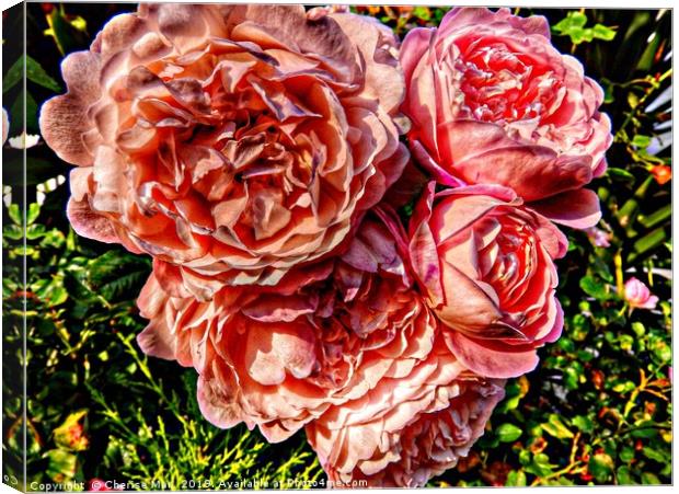 A bouquet of pink rose flowers         Canvas Print by Cherise Man