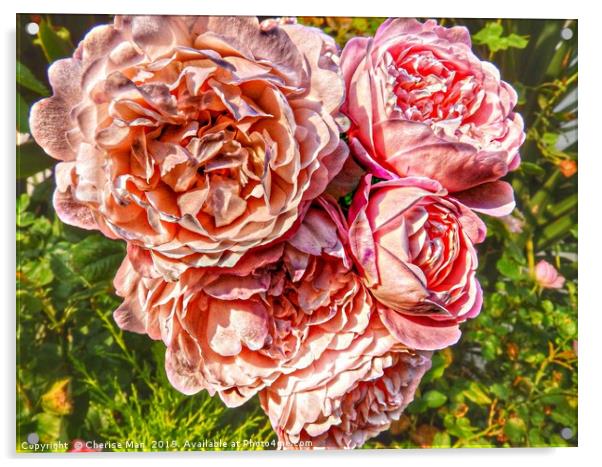 A bouquet of pink rose flowers         Acrylic by Cherise Man