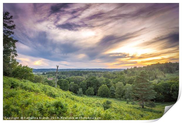 Sunset over Rockford Common, New Forest, UK Print by KB Photo