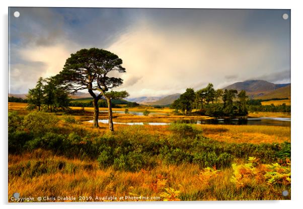 Early light at Loch Tulla, Bridge of Orchy Acrylic by Chris Drabble