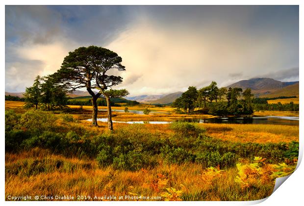 Early light at Loch Tulla, Bridge of Orchy Print by Chris Drabble