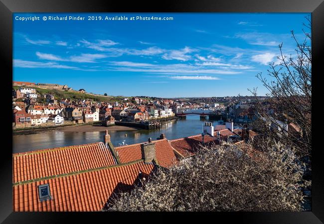 Whitby Harbour Framed Print by Richard Pinder