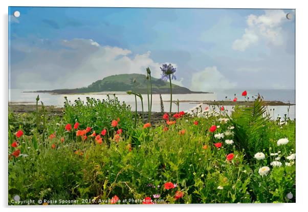Poppies at Looe looking towards Looe island Acrylic by Rosie Spooner