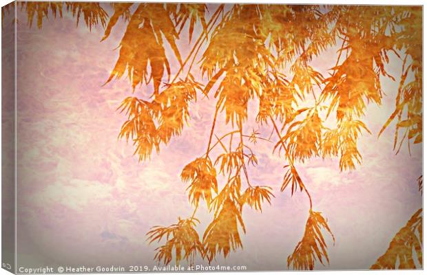 Branches of Golden Rain Canvas Print by Heather Goodwin