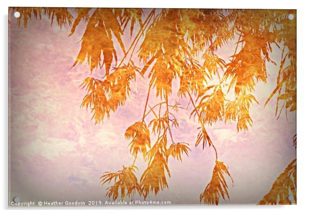 Branches of Golden Rain Acrylic by Heather Goodwin