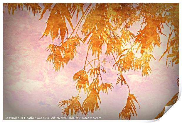 Branches of Golden Rain Print by Heather Goodwin