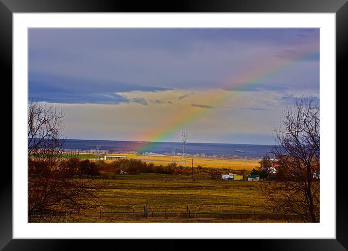 The Rainbow Framed Mounted Print by Irina Walker