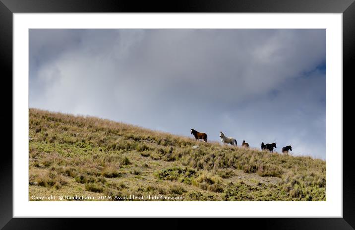 Wild Horses Framed Mounted Print by DiFigiano Photography