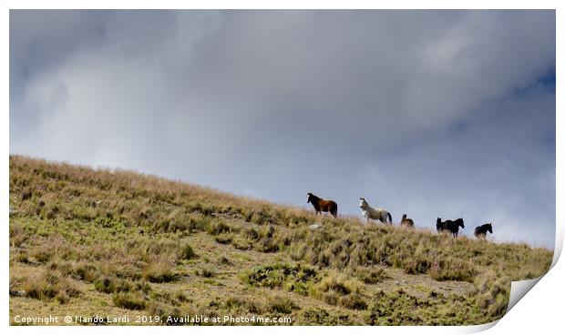Wild Horses Print by DiFigiano Photography