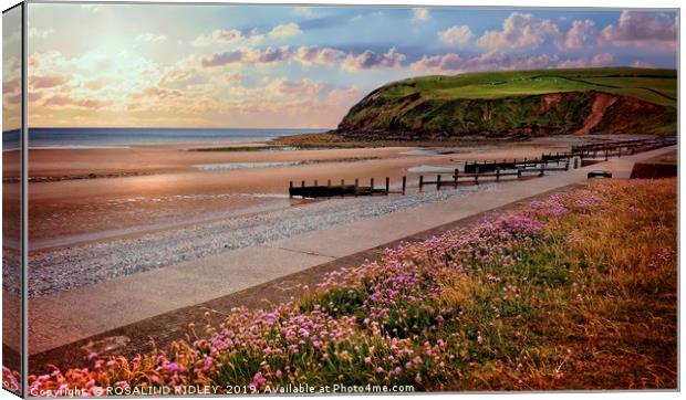 "Evening Light at St.Bees" Canvas Print by ROS RIDLEY