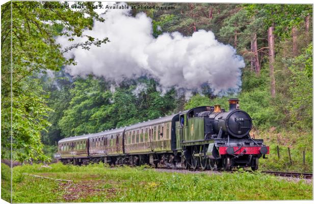 The Branch Line Canvas Print by Steve H Clark