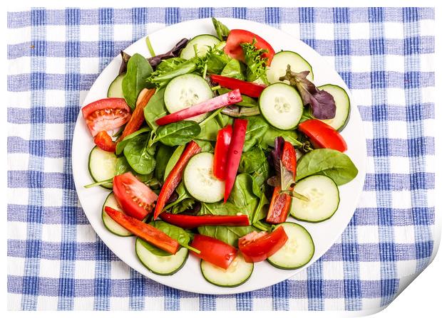 Green Salad with Red Pepper Print by Darryl Brooks