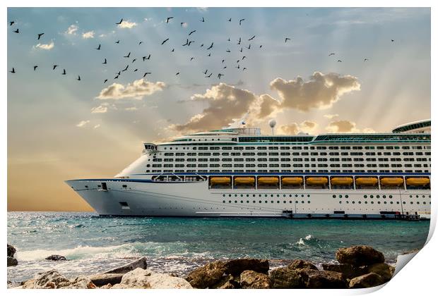 Front of Luxury Cruise Ship Moored Beyond Rocks Print by Darryl Brooks
